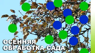 Осенняя искореняющая обработка сада: когда, зачем, кого и чем