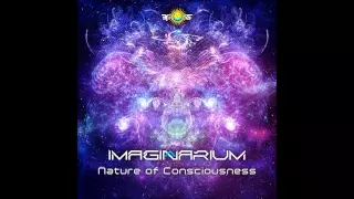 Imaginarium - Nature Of Consciousness