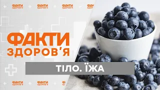 Лохина: чим корисна ця ягода та як її вирощують в Україні