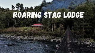 Roaring Stag & Cattle Ridge Hut - Overnight trip in the Tararua Ranges