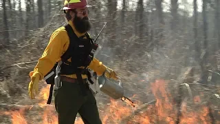 Homegrown | Conducting a Prescribed Burn to Restore Longleaf Pines