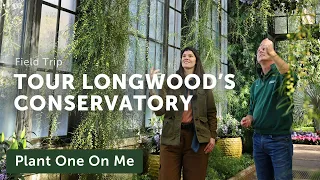 Longwood Garden's CONSERVATORY TOUR — Ep. 308