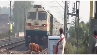 Train accident |hit animals|hit car|hit man|subscribe