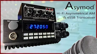 David G's Asymod Standalone Hi-Fi Asymmetrical AM & eSSB RCI 2970N4