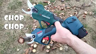 Parkside Cordless Pruning Shears PAAS 20-Li A1 vs Bosch 12V Pro Pruner