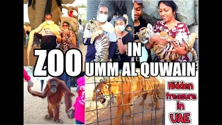 UMM AL QUWAIN ZOO | WILDLIFE PARK | MUST VISIT PLACE IN UAE | حديقة حيوانات مخفية بأم القيوين | ZOO🐅