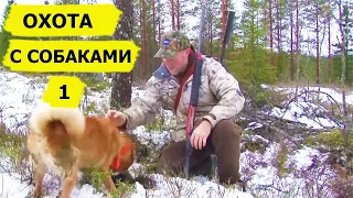 Охота с собаками. Выпуск 1. Охотничьи приключения в Норвегии /NORDIC WILD HUNTER (Охотник и рыболов)