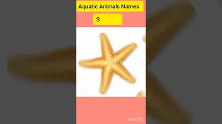 Aquatic Animals Names ( English Vocabulary) #englishvocabulary | Subscribe for More Videos ❤️