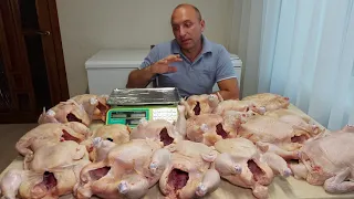 105 кг мяса Подводим итоги по бройлерам//Первая партия без водянки