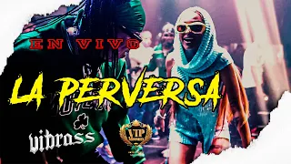 LA PERVERSA - EN VIVO ( VIP MATUM ) @vibrassmd