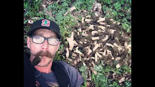 Wading Creeks For Big Black Morel Mushrooms