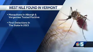 West Nile in Vermont