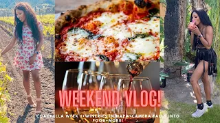 WEEKEND VLOG!|Coachella Week 1+Wineries In Napa+Camera Falls Into Food+More!