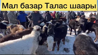 Мал базар Талас шаары