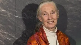 Jane Goodall im Videofragebogen