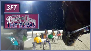 2023 Breeders Crown Elims - 3FT