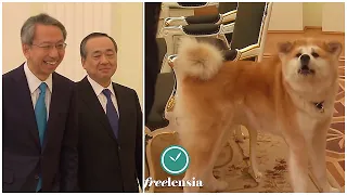 Putin's Dog Barks At Japanese Journalists