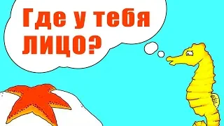 ТЕСТ на УПОРОТОСТЬ: О чем думают животные? ГДЕ У ТЕБЯ ЛИЦО???