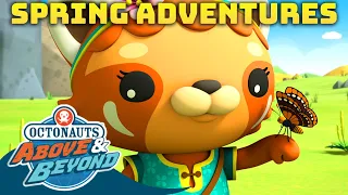 Octonauts: Above & Beyond - ⛅ Spring Adventures 🌼 | Compilation | @Octonauts​