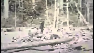 Снежный человек существует!  Bigfoot exists!