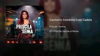 PRISCILA SENNA - CACHORRO COMBINA COM CADELA MÚSICA NOVA EXCLUSIVA 2019