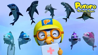 Lagu Pergi Ke Dokter | Rumah Sakit Ikan Bawah Laut | Lagu Anak anak | Pororo Si Penguin Kecil