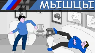 Мышцы (Пародия)