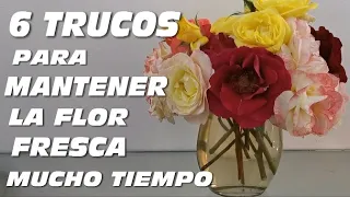 6 TRUCOS PARA MANTENER LAS FLORES FRESCAS  POR MUCHO TIEMPO