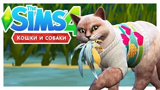 НОВАЯ КОЛЛЕКЦИЯ! 🦆The Sims 4: Кошки и собаки #13