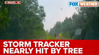 Close Call: Storm Tracker Nearly Hit By Tree During Derecho Event In Indiana
