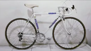 GIOS TORINO PROFESSIONAL VINTAGE BIKE