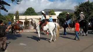 Cabalgata de caballos en Berlín Usulután El Salvador | Subtítulos en español automáticos