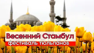 Стамбул 2023. Фестиваль тюльпанов. Новая бесплатная цистерна. Обед в ресторане 5 баксов 🤯