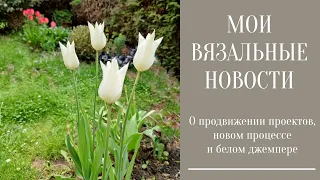 МОИ ВЯЗАЛЬНЫЕ НОВОСТИ. О продвижении проектов, новом процессе и  белом джемпере