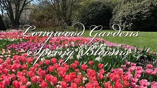 Longwood Gardens Spring Blooms 🌸🌷💐#botanical gardens #garden walk #longwood gardens