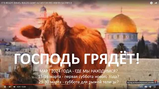 Март 2024 - важный этап! 16 марта - первая суббота нового года? 30 марта – суббота для рыжей телицы?