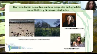 Septiembre 2023 - Biorremediación de Contaminantes Emergentes en Humedales