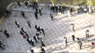 Frozen Reader Mob in Azerbaijan University of Languages