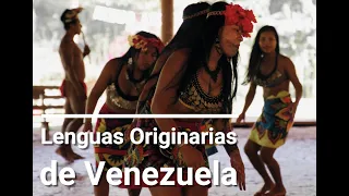 Lenguas Originarias de Venezuela