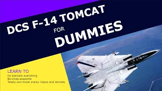 DCS F-14 Tomcat for DUMMIES Chapter 5: Missiles and You
