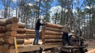 Log cabin build Part 10, work on the walls, campfire breakfast at the cabin, diy log arch