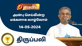 🔴 14 MAY 2024  Holy Mass in Tamil 06:00 PM (Evening Mass) | Madha TV