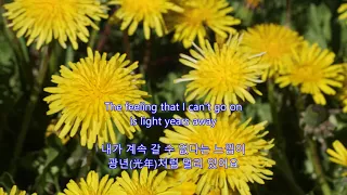 The Power of Love - Celine Dion || with lyrics (영어가사/한글번역)