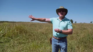 Adaptive Grazing 101: What Does an Ideal Pasture Look Like?