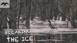 BREAKING THE ICE // MARTIN GOES LIVE FROM THE DUCK HOLE