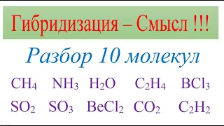 Гибридизация - смысл. Разбор 10 молекул:CH4, NH3, H2O, C2H4, BCl3, SO2, SO3, BeCl2, CO2, C2H2.