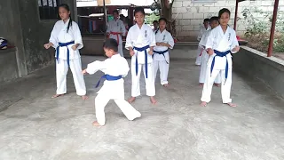 Kyokushin basic Kata(Taikyoku Sono San)