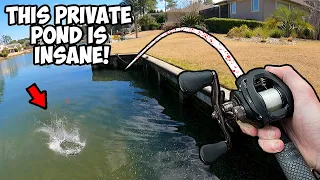 This PRIVATE POND is LOADED WIH BIG AGGRESSIVE BASS!!! (INSANE Pond Bass Fishing)