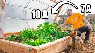 DIY 2 Layer Hinged Hoophouse, Move Up 3 ZONES! Raised Bed Gardening