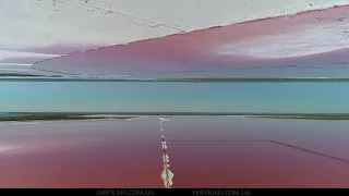 Pink Lake. Ukraine. Drone